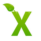 Green eco letter X vector illiustration