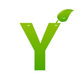 Green eco letter Y vector illiustration
