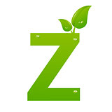 Green eco letter Z vector illiustration