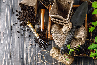 Garden tools with pot and soil seedlings