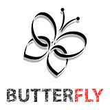 Butterfly in flight