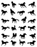 silhouettes of galloping horses