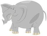 elephant cartoon safari animal