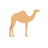 Camel vector sign illustration