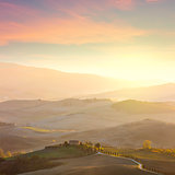 Sunny Tuscany landscape