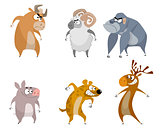 Six funny animals
