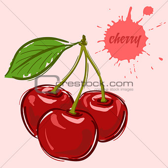 hand draw of cherry