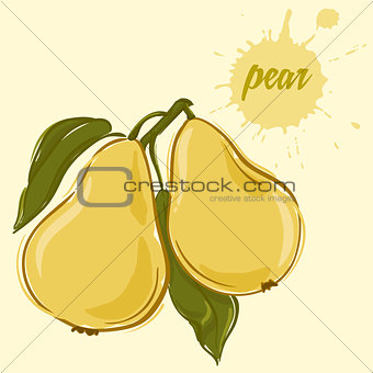 hand draw of pear