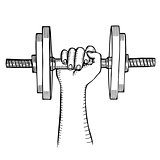 Arm muscle with dumbbell