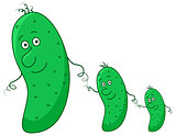 Cucumbers, family