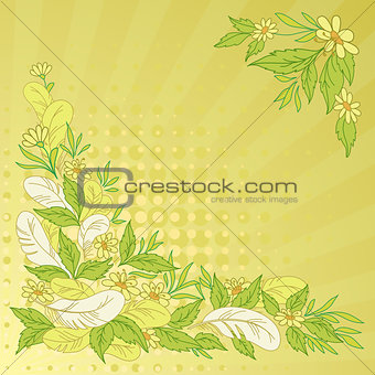Background: leaves, flowers and feathers