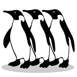 Penguin friendship symbol loyalty