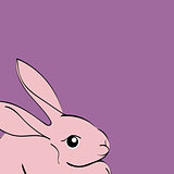 Easter pink Rabbit animal cartoon