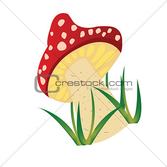 Mushroom draw over white background