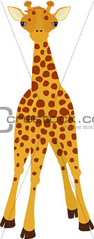 Giraffe cartoon style, vector illustration.