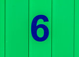 the number six blue, set against bright green wood