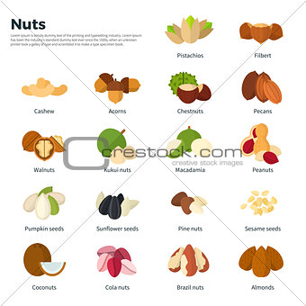 Nuts collection isolated on white
