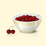 white bowl with cherry shadow and reflection