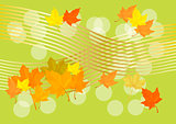 Vector autumn background