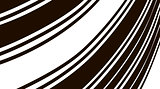 Abstract background. Black and white curve lines.