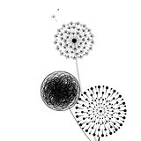 Graphic black and white dandelions