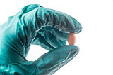 Hand with green protective glove holding an oblong pill