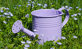 Little Purple decorative watering can for watering flowers 