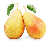 Two sweet red yellow pear fruits