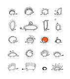 Hedgehog collection, sketch for your design