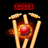 Fiery ball breaking the stumps for Cricket