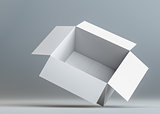 White open blank cardboard box