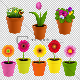 Flower In Pot Collection