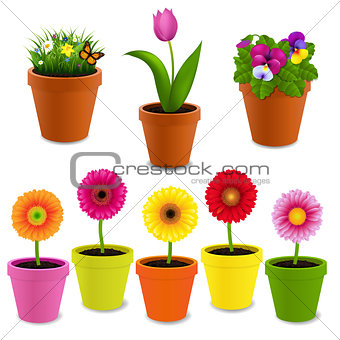 Flowers In Pot Collection