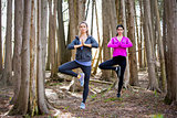 two women doing yoga in the middle of the woods