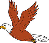 Angry Eagle Flying Cartoon