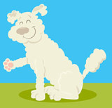 white poodle dog cartoon
