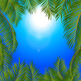 Tropical palm trees frame over blue sunny sky