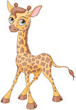 Cute Giraffe 