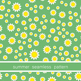 seamless pattern with chamomile flowers. vector