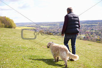 Rear View Of Man Taking Golden Retriever For Walk