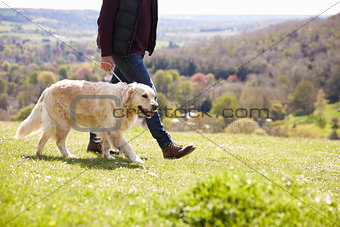 Close Up Of Golden Retriever On Walk In Countryside