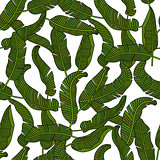 Vector seamless pattern with tropical banana leaves.