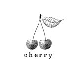 Cherry vector drawing