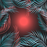 Tropical palm leaves background