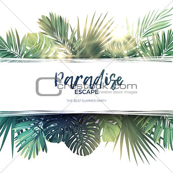 Green summer tropical background with exotic palm leaves and plants. Vector floral background.