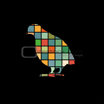 Partridge bird color silhouette animal