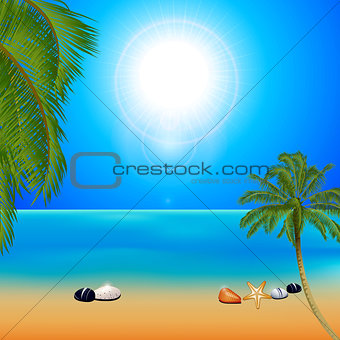Tropical sunny beach with palm trees