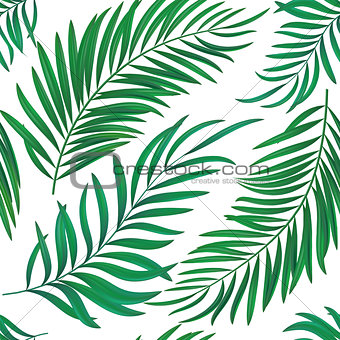 Seamless repeat coconut palm leaves. Realistic vector