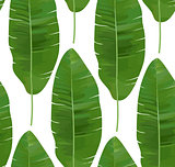 Seamless tropical pattern with banana leaves. Vector illustration.