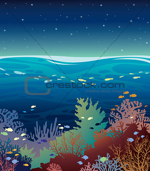 Coral reef with fish and night sky.